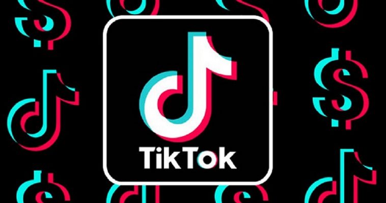 TikTok Users' Personal Data 1