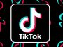 TikTok Users' Personal Data 1